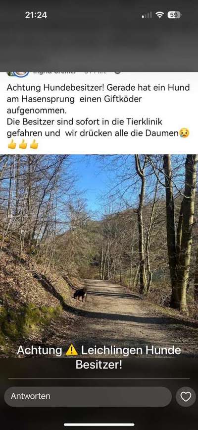 Giftköder-Giftköder-Bild