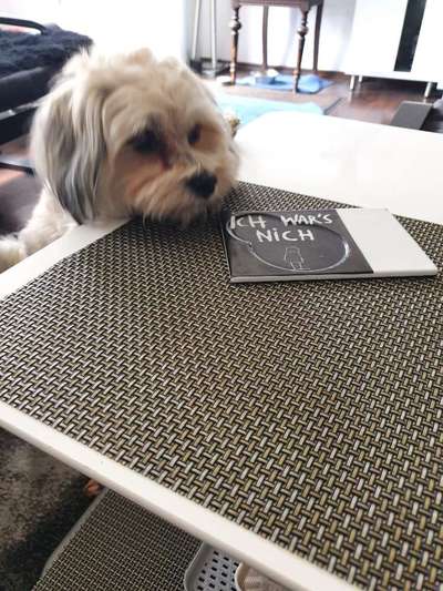 Hier ist der Spaßthread. Zum Schmunzeln und Kaputtlachen-Beitrag-Bild