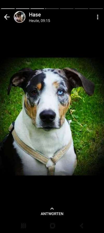 Fotochallange Nr. 57     PORTRÄT.   Beendet!!!!!!!!-Beitrag-Bild