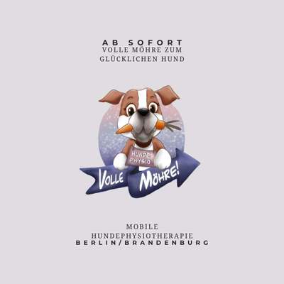 Medizinische Dienstleistungen-Hundephysiotherapie - Volle Möhre -Bild