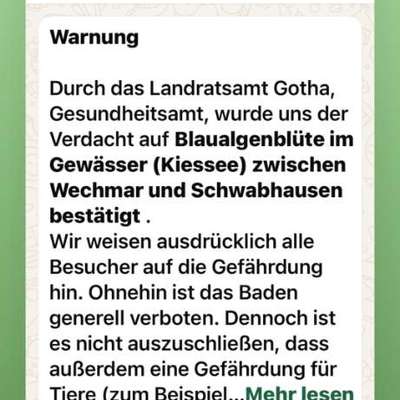 Giftköder-Blaualgen-Bild