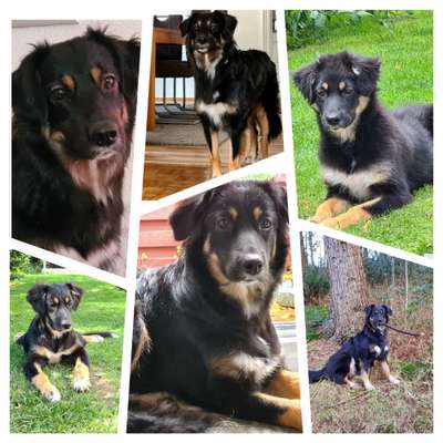 Sie werden so schnell groß!-Beitrag-Bild