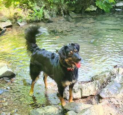 Tongue Out Tuesday-Beitrag-Bild