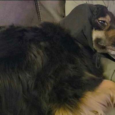 Wie habt ihr den Silvesterabend verbracht?-Beitrag-Bild