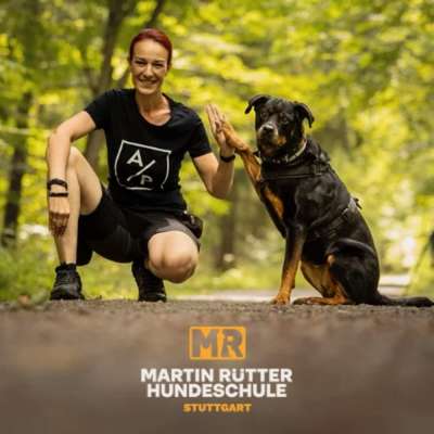 Hundeschulen-Martin Rütter Hundeschule Stuttgart-Bild