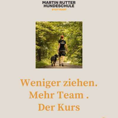 %{de_profession_title}-Leinenführigkeitskurs
ab 27.11.25-Bild