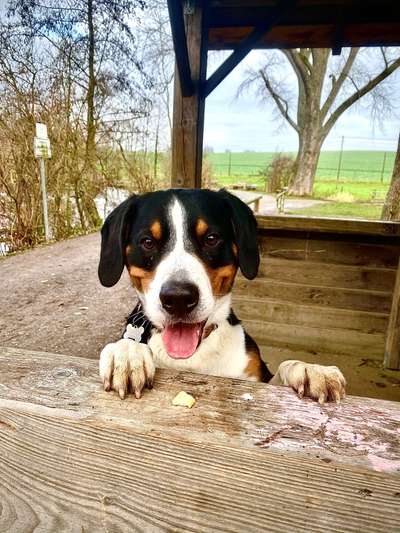 Lieblingsbild :D-Beitrag-Bild