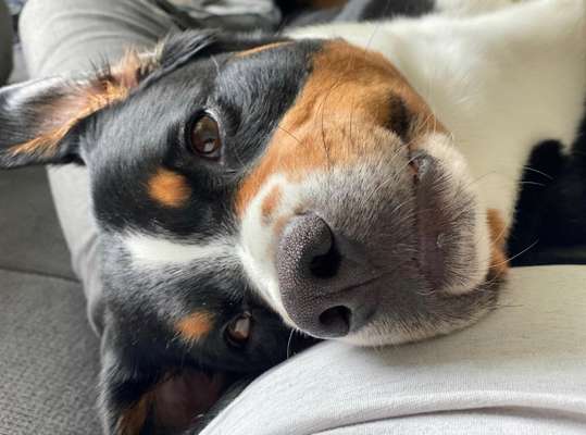 Lieblingsbild :D-Beitrag-Bild