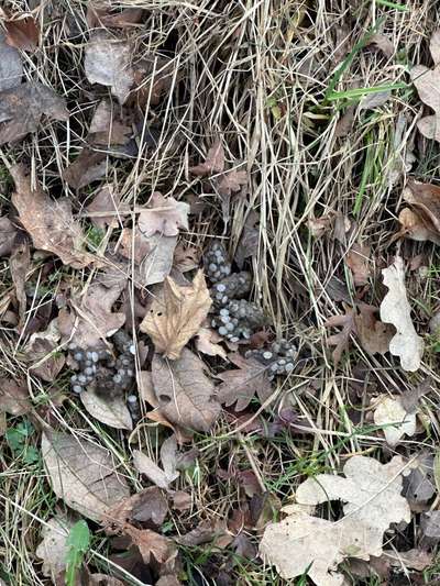 Was könnte das sein?-Beitrag-Bild