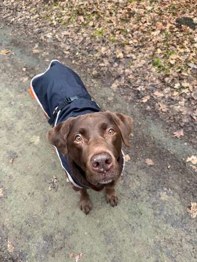 Was hat euch heute gefreut?-Beitrag-Bild