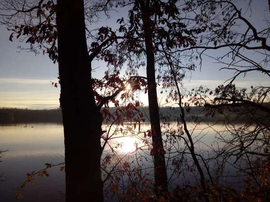Die wunderschöne Welt mit Hund.-Beitrag-Bild