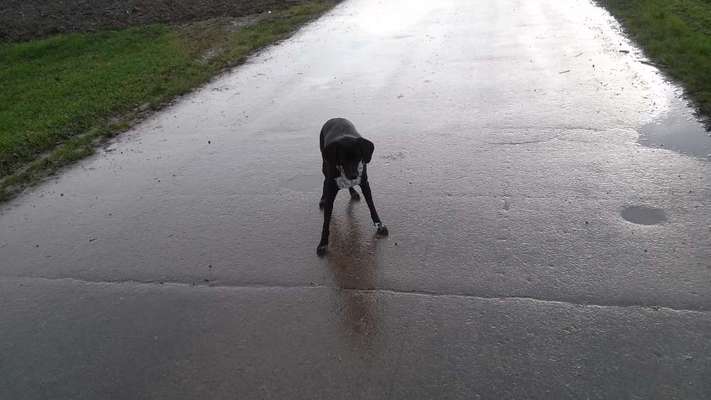 Zeigt mir eure Lieblingsfotos ♡♡-Beitrag-Bild