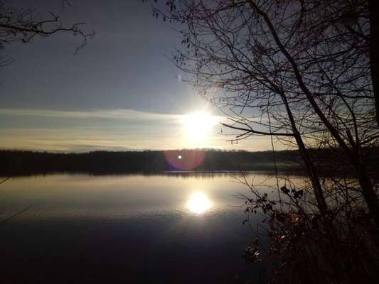 Die wunderschöne Welt mit Hund.-Beitrag-Bild