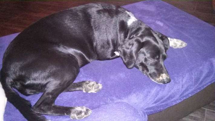 Die unbequemsten und lustigsten Schlafpositionen-Beitrag-Bild