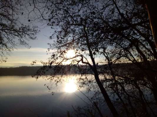 Die wunderschöne Welt mit Hund.-Beitrag-Bild