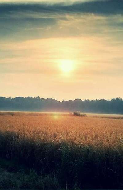 Die wunderschöne Welt mit Hund.-Beitrag-Bild