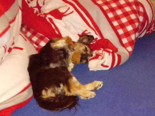 CHALLENGE NR. 34 - Liege-/Schlafpositionen-Beitrag-Bild