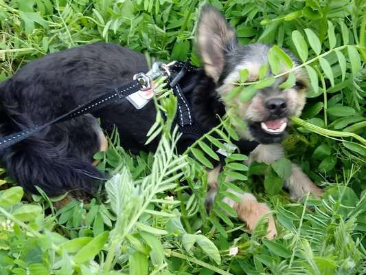 Fotochallenge Nr. 67: Euer Lieblingsbild-Beitrag-Bild