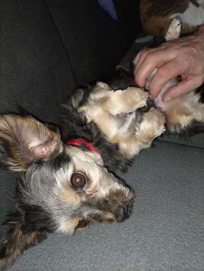 Fotochallenge Nr.65-Beitrag-Bild