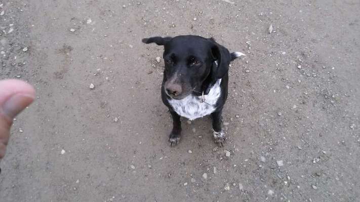 Morbus Cushing-Beitrag-Bild