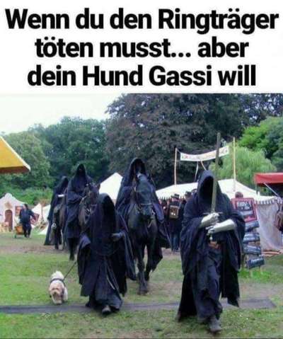 Hunde Memes-Beitrag-Bild