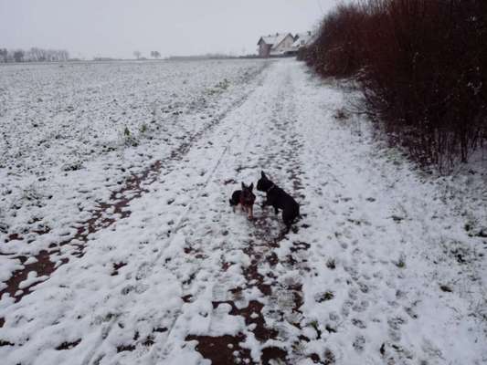 Challenge Nr. 15
Spiel im Schnee-Beitrag-Bild