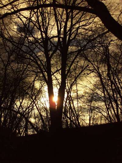 Die wunderschöne Welt mit Hund.-Beitrag-Bild