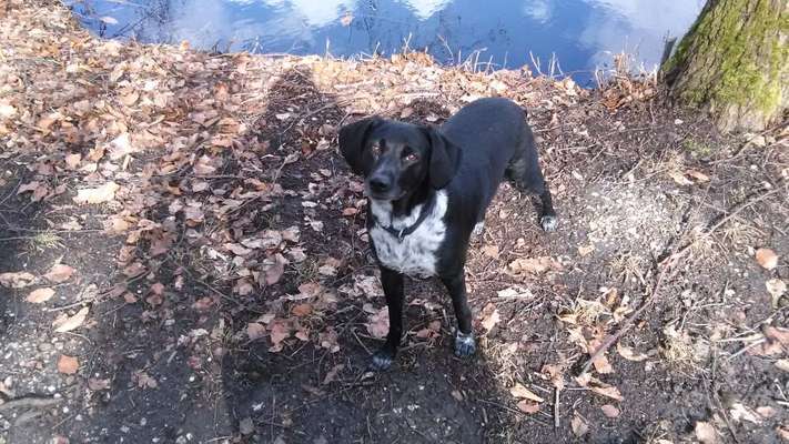 Unsere Sternchen ******-Beitrag-Bild