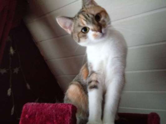 CHALLENGE NR. 34 - Liege-/Schlafpositionen-Beitrag-Bild