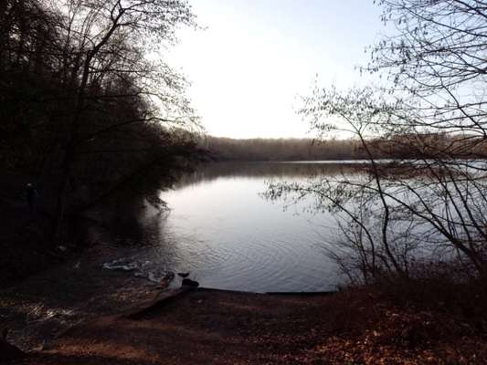 Die wunderschöne Welt mit Hund.-Beitrag-Bild