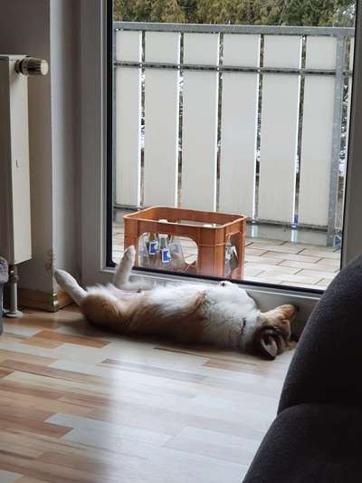 Fotochallenge Nr.65-Beitrag-Bild