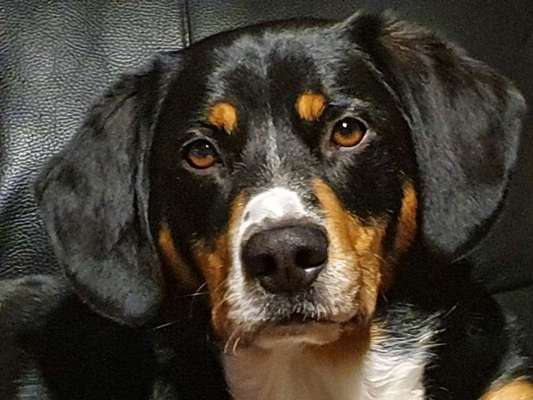 Fotochallange Nr. 57     PORTRÄT.   Beendet!!!!!!!!-Beitrag-Bild