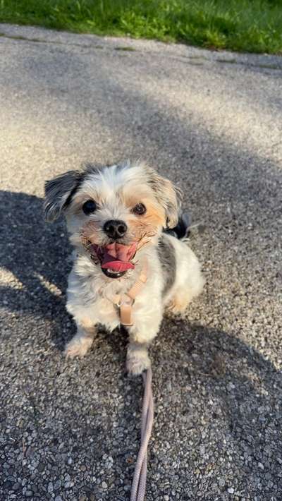 Handyfoto challenge Nr. 13: Waschlappen raus!-Beitrag-Bild