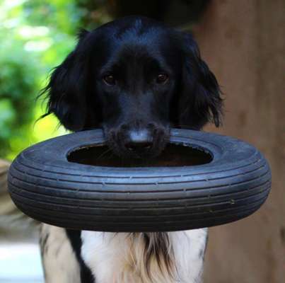 Fotochallange Nr. 57     PORTRÄT.   Beendet!!!!!!!!-Beitrag-Bild