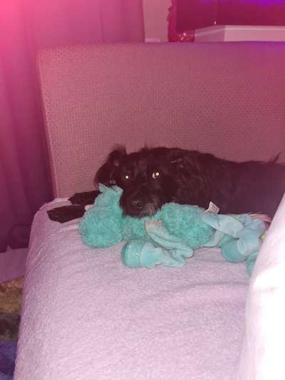 15. Handyfoto Challenge - Indoor Aktivitäten-Beitrag-Bild