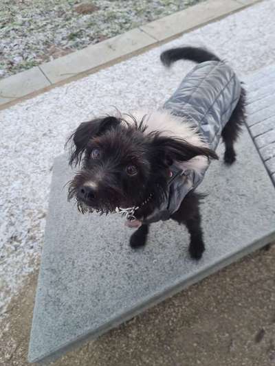 Handy-Foto Challange Nr. 10-Beitrag-Bild