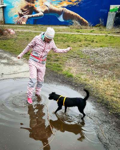 Dogorama Photo Challenge - Pfützen & Spiegelungen-Beitrag-Bild