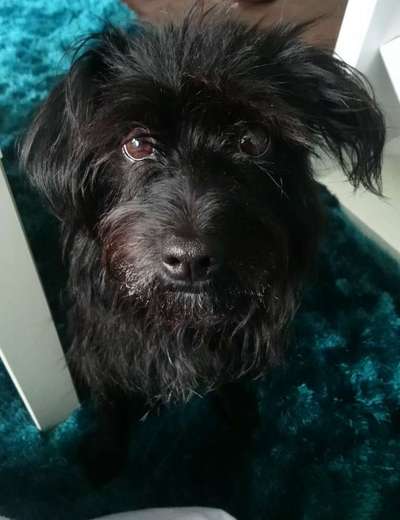 Bettel Blicke-Beitrag-Bild