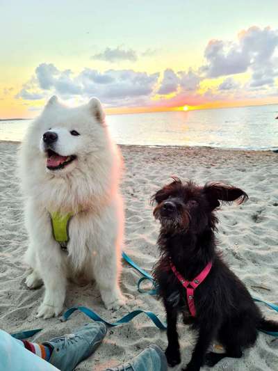 Fotochallenge Nr.100 Urlaubsimpressionen-Beitrag-Bild