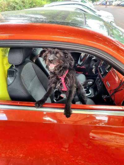 Fotochallenge 101:
On Tour-Beitrag-Bild