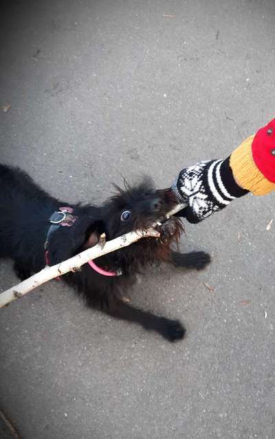 20. Handy -Foto-Callenge-Beitrag-Bild