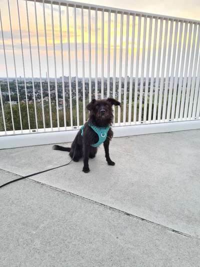 Fotochallenge Nr 107-Beitrag-Bild