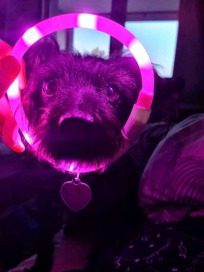 FOTOCHALLENGE 109: Leuchtwürmer Sicherheit im Straßenverkehr und mehr...-Beitrag-Bild