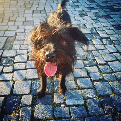 Tongue Out Tuesday-Beitrag-Bild