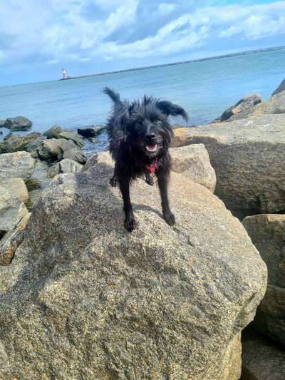 Dogorama Photo Challenge - Steine/Felsen-Beitrag-Bild