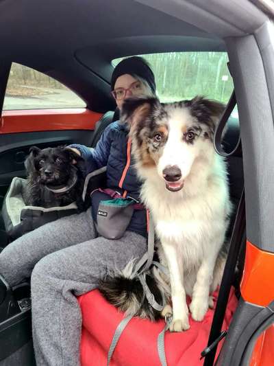 Handy-Foto-Challange Nr. 8-Beitrag-Bild