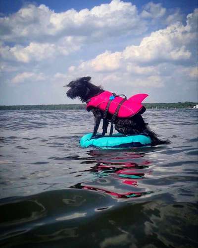 FOTOCHALLANGE NR.71 BADEFREUDE-Beitrag-Bild