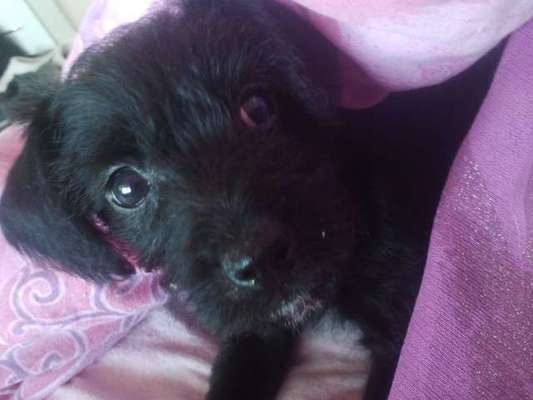 Fotochallange Nummer 5-Beitrag-Bild