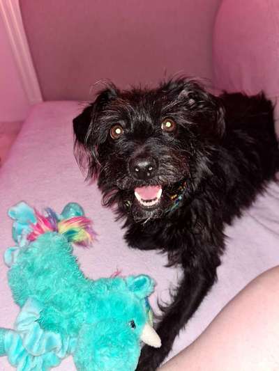 Fotochallenge Nr.105  Glücksmomente-Beitrag-Bild