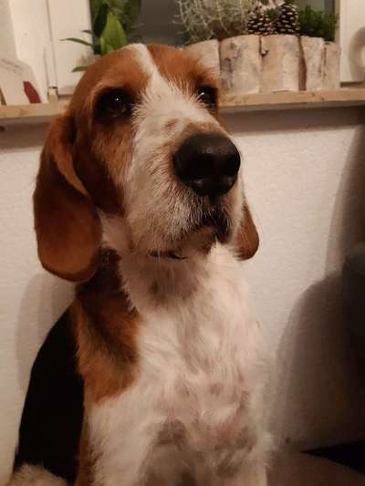 Fotochallange Nr. 57     PORTRÄT.   Beendet!!!!!!!!-Beitrag-Bild